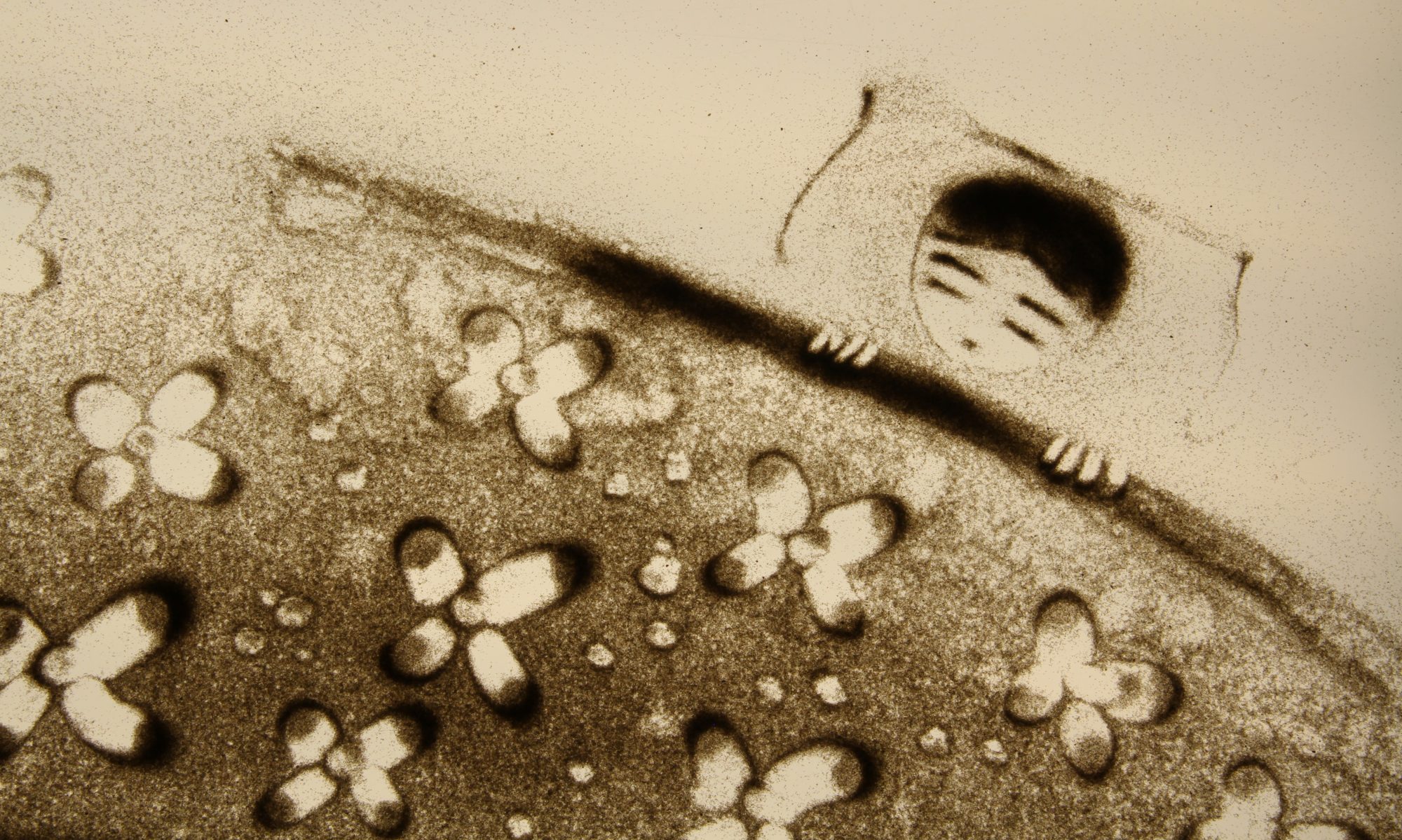 Fiabe Classiche – SAND ANIMATION Fiabe Classiche – SAND ANIMATION
